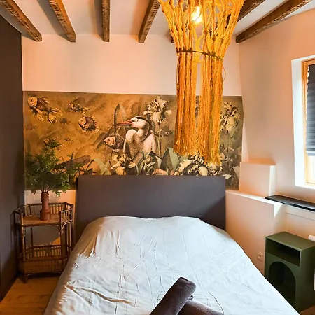 Appartamento San Home's Anversa